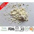 Proteína de trigo hidrolisada de alta qualidade 80% (proteína vegetal)